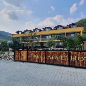 Olive Tree Apart Hotel